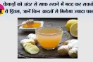 Lung Detox: फेफड़ों को अंदर से साफ रखने में मदद कर सकती हैं ये ड्रिंक्स, जानें किन आदतों से मिलेगा ज्यादा फायदा