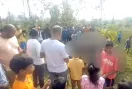 Hathini: झारखंड के चाईबासा में खेत में मृत पाई गई हथिनी, दोनों दांत काट ले गए तस्कर