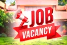DSSSB Vacancy 2026: डीएसएसएसबी में 641 पदों पर निकली भर्ती, 6 अक्टूबर से शुरू होंगे आवेदन; जानें योग्यता और पूरी डिटेल
