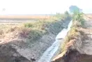 Lohgarh Link Minor News: 8 दिन में दूसरी बार टूटी लोहगढ़ लिंक माइनर, किसानों में हाहाकार