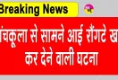 6 Year Old Girl Alleged Assaulted: पंचकूला सरकारी स्कूल में 6 वर्ष की बच्ची के साथ कथित मारपीट, Video Viral