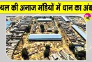 PR Paddy News: कैथल की अनाज मंडियों में बढ़ा धान का दबाव, धीमे उठान से किसानों की बढ़ी परेशानी