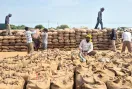Mandi News: बारिश का कहर जारी, मंडियों में धान भीगने से किसान परेशान