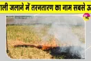 Stubble Burning: पराली जलाने के मामले में तरनतारन सबसे आगे, पंजाब में 1,007 मामले दर्ज