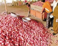Onion News: महंगे प्याज से राहत की तैयारी, सरकार राशन की दुकानों पर 30-40 रुपये किलो में प्याज बेचने की बना रही योजना