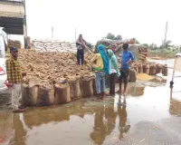 Crop Procurement: धान-कपास की आवक को लेकर आढ़तियों व व्यापारियों ने उठाई ये बड़ी मांग