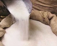 Sugar: हरियाणा में चीनी की जमाखोरी पर सख्ती, स्टॉक 30 दिन से ज्यादा रखने पर रोक