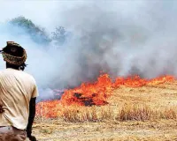 Haryana News: ‘पराली संरक्षण बल’ करेगा पराली जलाने की रोकथाम, ड्रोन होंगे तैनात