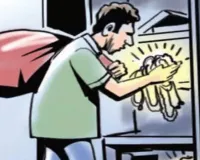 Theft News: मकान के ताले तोड़कर लाखों की नकदी व जेवरात किए चोरी