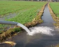 Digital Agriculture: 3 करोड़ के करीब किसान सारथी प्लेटफॉर्म से जुड़े डिजिटल कृषि परामर्श सेवाओं का उठा रहे लाभ