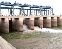 Bhakra System Regulation: भाखड़ा प्रणाली की नहरों का वरीयताक्रम निर्धारित, इतनी जून तक रहेगा प्रभावी