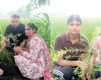डेरा श्रद्धालु परिवार ने बेटी के जन्मदिन पर 250 पौधे लगाकर मनाया जन्मदिन