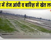 Sirsa Weather: सरसा में तेज आंधी-बारिश, तपते शहर को मिली ठंडक, पेड़ व बिजली के खंभे गिरे