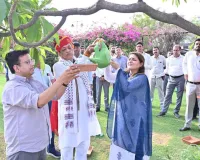 आरसीडीएफ एवं जिला दुग्ध संघों की खाली पड़ी भूमि पर होगा सघन वृक्षारोपण   