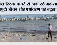Environment Problem: प्लास्टिक कचरे से जूझ रहे महासागर, समुद्री जीवन और पर्यावरण पर बढ़ता संकट