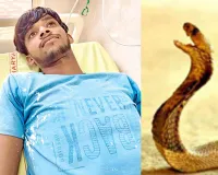 Snake Bite: युवक को सांप ने डसा, अस्पताल में भर्ती 