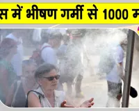 France Weather Update: जुलाई माह में 'हीट डोम इफेक्ट' फ्रांस वासियों पर ढहा सकता है कहर! फिलहाल Heat Wave से 1,000 लोगों की मौत