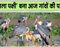Man Ki Baat with Modi:: जिस पक्षी को कभी अशुभ माना गया, आज पीएम मोदी ने मन की बात में क्यों किया उसका जिक्र?