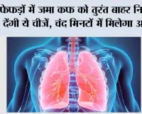 Health Alert: फेफड़ों में जमा कफ को तुरंत बाहर निकाल देंगी ये चीजें, चंद मिनटों में मिलेगा आराम
