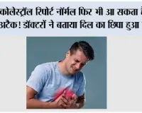 Heart Disease India: कोलेस्ट्रॉल रिपोर्ट नॉर्मल फिर भी आ सकता है हार्ट अटैक! डॉक्टरों ने बताया दिल का छिपा हुआ दुश्मन