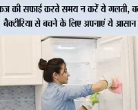 How To Clean A Fridge: फ्रिज की सफाई करते समय न करें ये गलती, बदबू और बैक्टीरिया से बचने के लिए अपनाएं ये आसान टिप्स