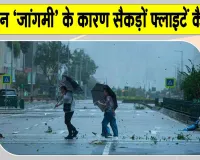 Typhoon Jangmi: क्यूशू की ओर बढ़ रहा 'जांगमी', सैकड़ों फ्लाइटें कैंसिल
