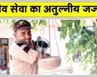 सच-कहूँ की 24वीं वर्षगांठ पर पाठकों ने किया बेजुबानों के लिए ये सराहनीय कार्य