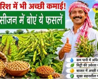 Arhar Cultivation: कम बारिश में भी होगी अच्छी कमाई! खरीफ सीजन में बोएं ये फसलें
