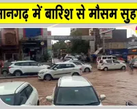 Rajasthan Weather News: काले बादलों से दिन में छाया अंधेरा, आंधी-बारिश से बदला मौसम का मिजाज