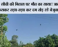 लीची की मिठास पर मौत का साया! जाल में फंसकर तड़प-तड़प कर दम तोड़ रहे बेजुबान पक्षी