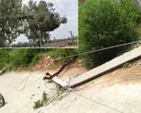 बारिश और तूफान ने मीरापुर क्षेत्र में मचाई तबाही, बिजली व्यवस्था दिनभर रही ठप