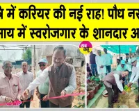 Nursery Business: कृषि क्षेत्र में रोजगार के नए अवसर : डॉ. पुष्पेंद्र सिंह चौहान