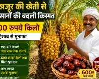 Date Palm Farming: धर्मपुरी के किसानों ने रचा नया कृषि मॉडल, 100 साल तक फल देने वाली इस फल की खेती की शुरू