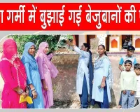 बेजुबानों के लिए सेवादारों के इस सराहनीय प्रयास ने छू लिया सबका दिल