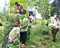 गर्मी में पानी बचाने की मुहिम, विभाग ने 22 अवैध कनेक्शन हटाए