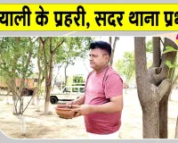 फतेहाबाद पुलिस का ये अधिकारी बना हरियाली का प्रहरी! सदर थाना को बना दिया ‘ग्रीन थाना’