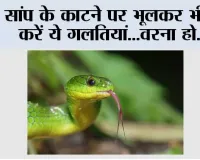 Snake Bite First Aid: सांप काटने पर मरीज को क्या दें और क्या न दें, जानिए पूरी जानकारी