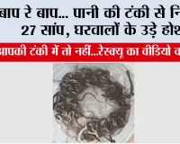 बाप रे बाप... पानी की टंकी से निकले 27 सांप, घरवालों के उड़े होश, कहीं आपकी टंकी में तो नहीं...