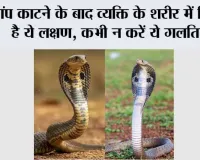 Snake News: सांप काटने के बाद भूलकर भी न करें ये गलतियां, समय पर सही इलाज बचा सकता है जान