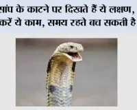 Snake News: सांप के काटने पर दिखते हैं ये लक्षण, तुरंत करें ये काम, समय रहते बच सकती है जान