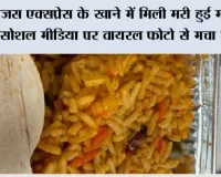 Tejas Express News: तेजस एक्सप्रेस के खाने में मिली मरी हुई मक्खी! सोशल मीडिया पर वायरल फोटो से मचा बवाल
