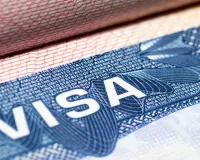 H1B Visa India: वैश्विक वीजा कार्यक्रमों में भारत का दबदबा: H-1B में नंबर 1, ब्रिटेन और EU ब्लू कार्ड में दूसरे स्थान पर भारतीय