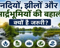Water Conservation: नदियों, झीलों और आर्द्रभूमियों की बहाली क्यों है जरूरी? जल सुरक्षा और पर्यावरण संरक्षण पर बड़ा सवाल