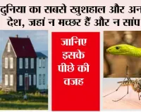 World Happiness Report: दुनिया का सबसे खुशहाल और अनोखा देश, जहां न मच्छर हैं और न सांप, जानिए इसके पीछे की वजह