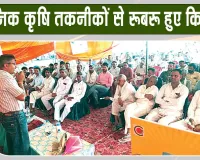 Agricultural Training Camp: गुलाबी सुंडी, सफेद मक्खी व तेला से बचाव के विशेषज्ञों ने बताए उपाय