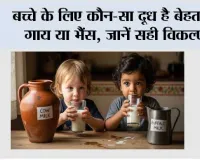 Baby Health: बच्चे के लिए कौन-सा दूध है बेहतर? गाय या भैंस, जानें सही विकल्प