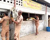 बरनाला में सुरेन्द्र कुमार इन्सां ने अपने जन्मदिन पर गायों को खिलाया 15 क्विंटल हरा चारा