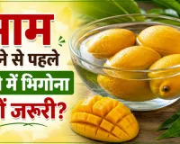 Mango Health Tips: क्या है आम खाने का सही तरीका? खाने से पहले पानी में भिगोना क्यों जरूरी?