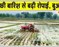 Agricultural News: मानसून की बढ़ती रफ्तार से किसानों के चेहरे खिले, रोपाई-बुआई ने भी पकड़ी रफ्तार