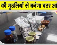 Bihar Agricultural University Innovation:आम की गुठलियों से बटर ऑयल! बीएयू सबौर के वैज्ञानिकों की नई पहल